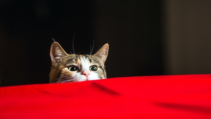 10 Reasons You Should NOT Join a Mastermind